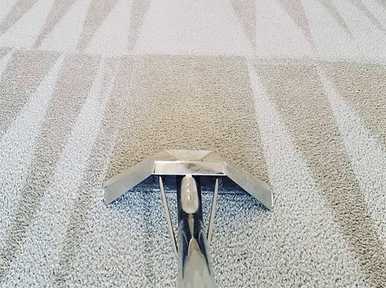 Carpet Cleaning Barnes SW13 | 21 000+ Positive Reviews