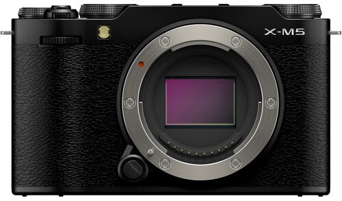 6 Reasons the Fujifilm X-M5 Is Perfect for Beginner Photogs